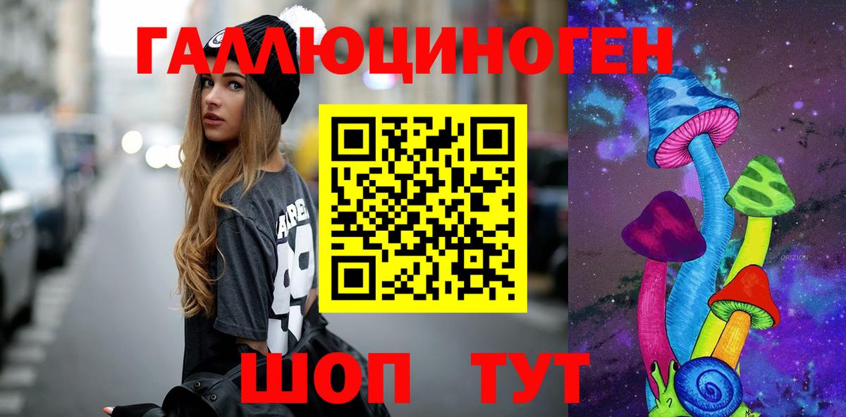 Псилоцибиновые грибы Psilocybe  Вход с VPN  Псилоцибиновые грибы прущие грибы  Советск 