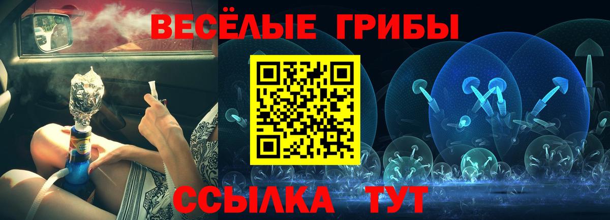 Галлюциногенные грибы Magic Shrooms Советск